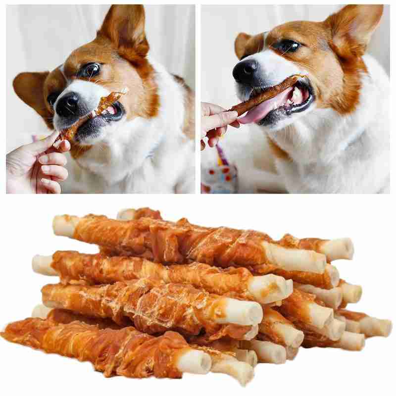 Coffret cadeau de snacks pour chiens avec du bœuf frais, du poulet, des fruits, mangeoire pour chiens, des dents propres, des récompenses, des récompenses pour les petits et grands chiens